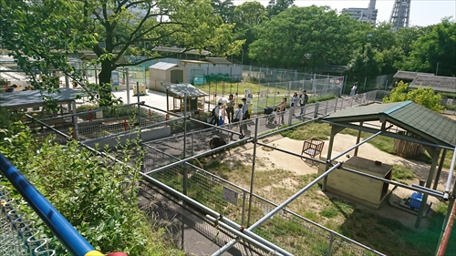 25日・天王寺動物園！